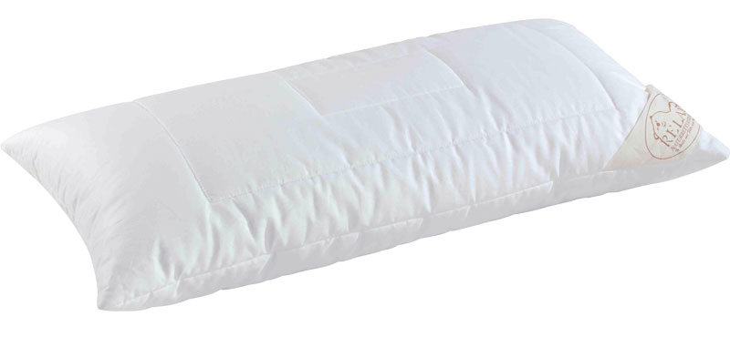 Tencel Kissen
